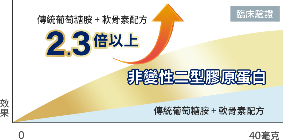 臨床驗證 非變性二型膠原蛋白 傳統葡萄糖胺+軟骨素配方 2.3倍以上